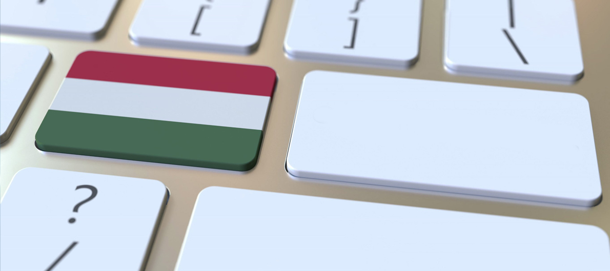 Az eredményszemléletű számvitel költségvetési szektorban történő alkalmazásának tapasztalatai