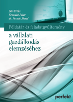 Példatár és feladatgyűjtemény a vállalati gazdálkodás elemzéséhez (PR-696-P/17)